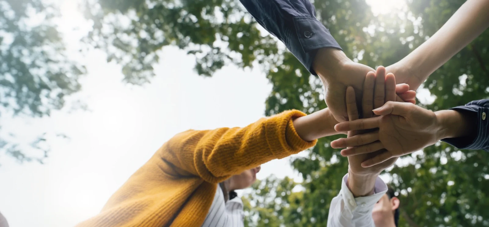 Des mains réunies en cercle, à contre-jour sous les arbres